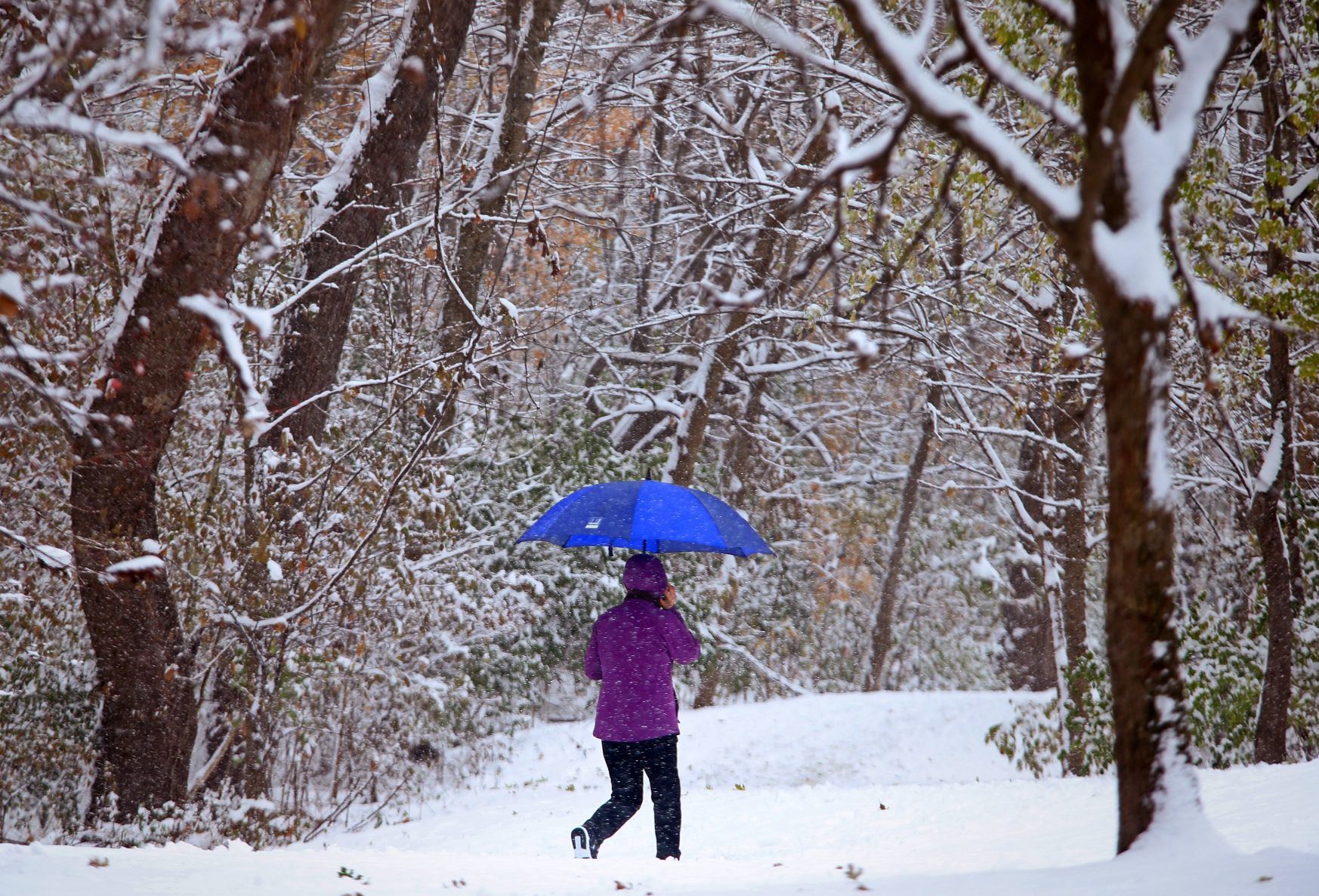 Overnight, morning snowfall blankets St. Louis area